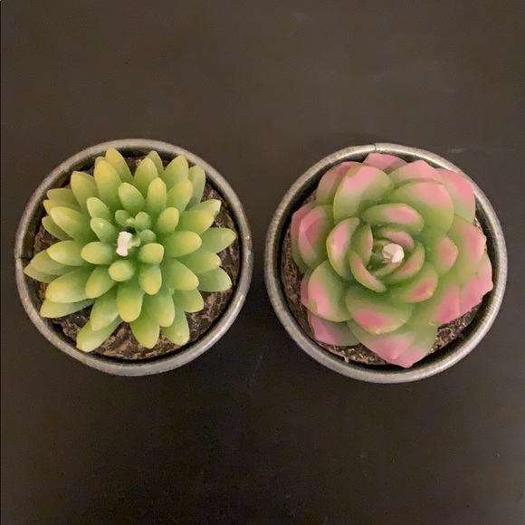 ***SOLD***Pottery Barn succulent candle set - Picture 2 of 4